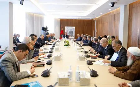 اخنوش يجتمع مع مهنيي اللحوم من أجل تموين الاسواق المغربية