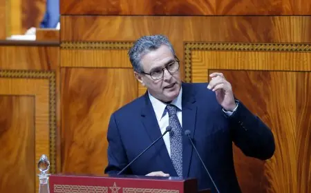 أخنوش: همُّنا الاستجابة للانتظارات الآنية ‏للمواطنين وبلوغ مغرب الكرامة والتماسك الاجتماعي ممكن