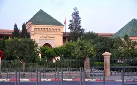 تضامنا مع زميلهم محامون بمراكش يرفضون الترافع عن والدة طراكس