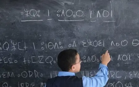 وزارة التربية الوطنية..التوسيع التدريجي لتدريس اللغة الأمازيغية بسلك التعليم الابتدائي