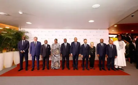 مشاركة رئيس الحكومة في منتدى الرؤساء التنفيذيين في افريقيا Africa CEO