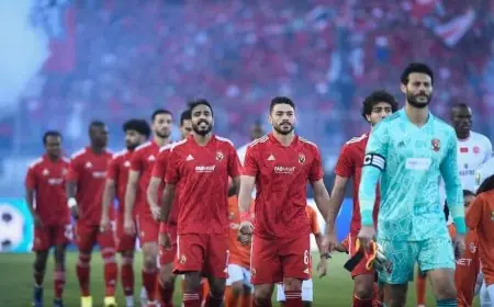 الاهلي المصري بطلا لدوري ابطال افريقيا للمرة 11 في تاريخه على حساب الوداد