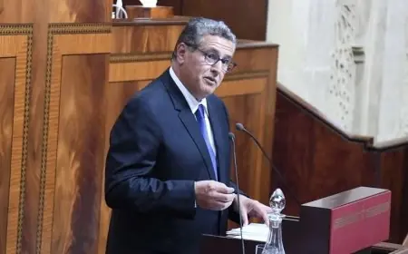 رئيس الحكومة : الجامعات المغربية تعاني على مستوى التأطير البيداغوجي