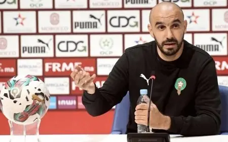 وليد الركراكي: هدفي الأساسي هو الوصول إلى نهائيات كأس إفريقيا للأمم
