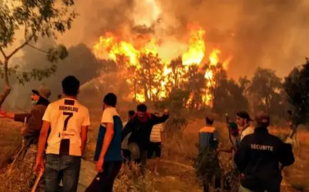 المغرب يتابع ببالغ الأسى والأسف حرائق الغابات بالجزائر (بلاغ)