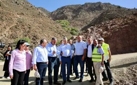 وزير الفلاحة صديقي يزور المناطق الفلاحية المتضررة من الزلزال بتارودانت