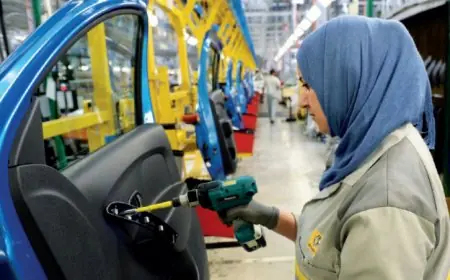 تدفق الاستثمارات الاجنبية إلى المغرب يتراجع بنسبة 49,6 بالمئة