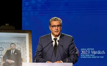 اجتماعات البنك الدولي وصندوق النقد الدولي .. اخنوش يدعو البنوك إلى المرونة