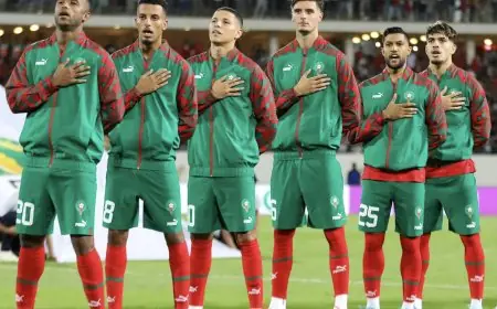 الأسود يهزمون ليبيريا في آخر جولات تصفيات الكان