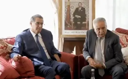 اخنوش يجتمع بأحزاب الاغلبية و المعارضة لمناقشة تفعيل الدعم الاجتماعي