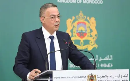 لقجع: تعديل القانون التنظيمي لقانون المالية يروم تعزيز حكامة تدبير المالية العمومية