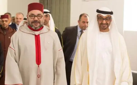 الملك محمد السادس يقوم بزيارة رسمية إلى دولة الامارات العربية
