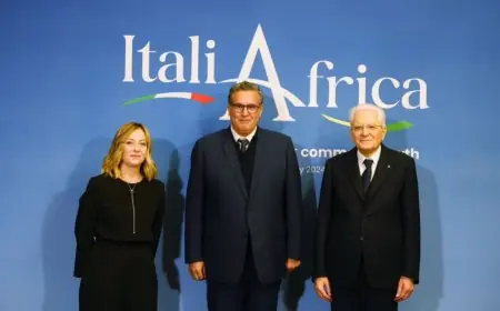 اخنوش يؤكد اهتمام إيطاليا بمشاريع المغرب في مجال الطاقة المتجددة