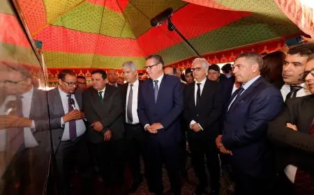 اخنوش رفقة وفد هام يتفقد عددا من المشاريع بإقليم تيزنيت (صور)