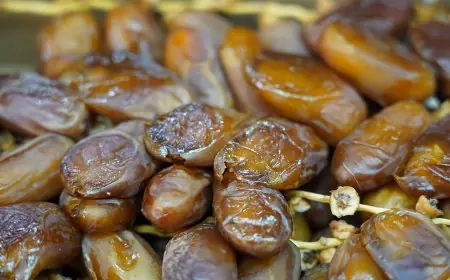 قبيل رمضان .. ارتفاع أثمنة التمور ووزارة الفلاحة توضح