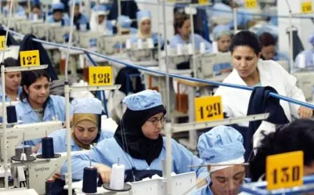 تقرير رسمي: النساء يمثلن 32,2 % من مجموع الأجراء بين 18 و60 سنة
