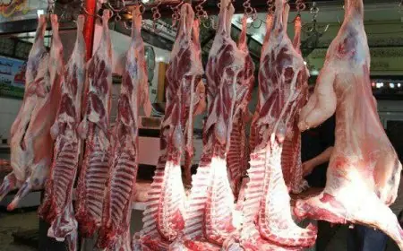 حجز 13 طن من لحوم الدبيحة السرية بعدد من الأقاليم
