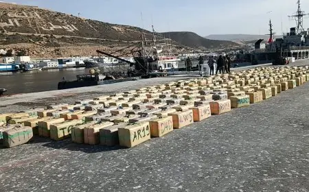 احباط عملية تهريب عشرة أطنان ونصف من الشيرا بميناء أكادير
