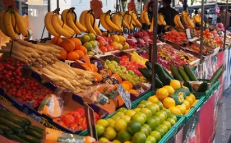 123 الف طن خلال سنة .. واردات المغرب من الفواكه تواصل الارتفاع