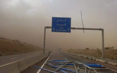 نشرة انذارية.. طقس حار ورياح قوية بهذه المناطق