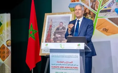 صديقي: 3 معيقات مازالت تحد من فعالية القطاع الفلاحي