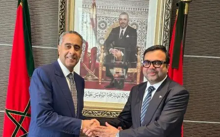 الحموشي يستقبل سفير باكستان بالرباط