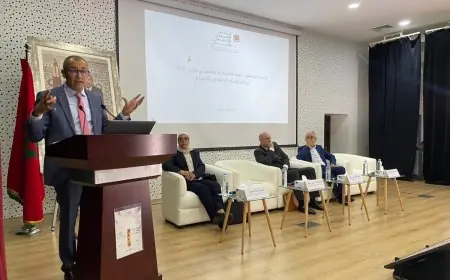 رضا الشامي: 1,5 مليون شاب مغربي خارج التعليم و التكوين والشغل