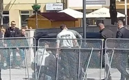رئيس وزراء سلوفاكيا يتعرض لإطلاق نار ويصاب في الحادث