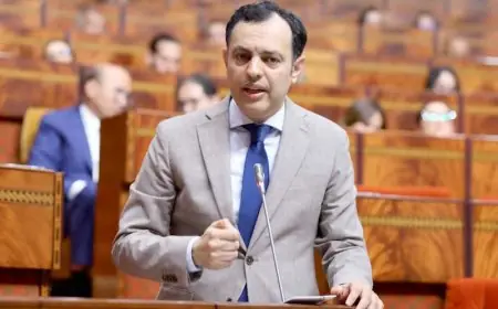 السكوري: وجود أكثر من 4 ملايين مغربي دون عمل ولا دراسة "أمر مقلق".
