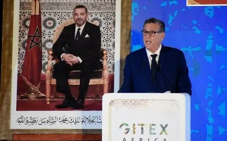 أخنوش: استراتيجية "المغرب الرقمي 2030" سترى النور خلال اسابيع