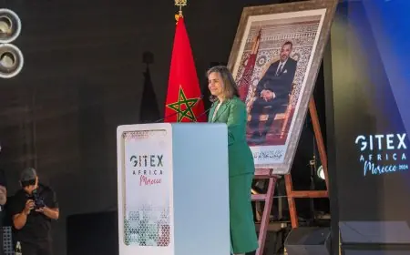 غيثة مزور: رقم معاملات ترحيل الخدمات بالمغرب ارتفع إلى 17.9 مليار درهم