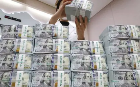الدين العالمي يرتفع إلى 97 تريليون دولار