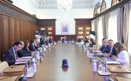اللجنة البين وزارية المكلفة ببرنامج إعادة البناء والتأهيل العام للمناطق المتضررة من زلزال الحوز تعقد اجتماعها العاشر