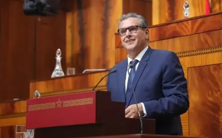 عزيز أخنوش.. لن أقبل بنعت المغاربة بأنهم يرقصون على جراح الفلسطينيين