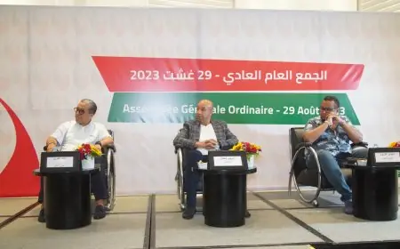 الجمعية الوطنية للإعلام والناشرين تطالب بالتحقيق في أموال عمومية بسبب تلاعبات شركات التواصل