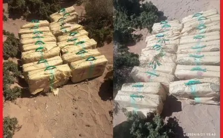 إحباط تهريب 460 كيلوغرام من المخدرات بكلميم