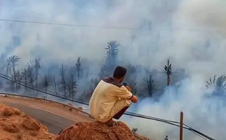 تنغير .. حريق واسع يأتي على عشرات من أشجار النخيل