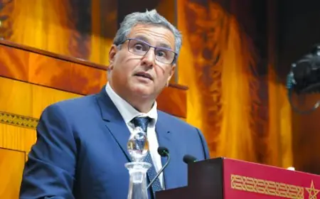أخنوش: 17 ألف طلب استفادة من دعم السكم من بين 84.5 ألف توصلت به الحكومة