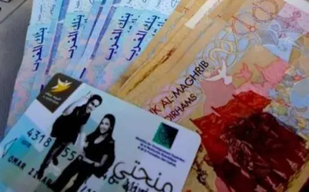 تحديد أصناف ومقادير المنح الدراسية على طاولة المجلس الحكومي