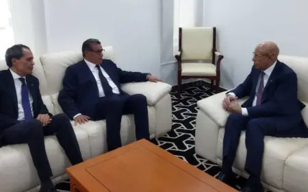 الرئيس الموريتاني يستقبل أخنوش ويعبر عن رغبته في تعزيز العلاقات مع المغرب
