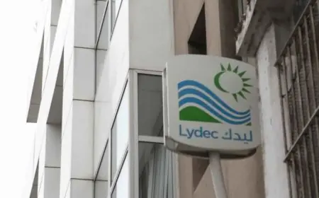 الدارالبيضاء .. شركة جهوية تعوض ليديك