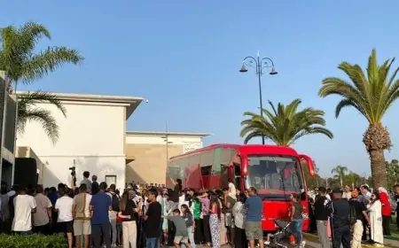 إستقبال المنتخب الأولمبي بعد الظفر بالبرونزية الأولمبية