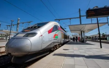 إشادة "لو فيغارو" بالمزايا المتعددة للسفر بالقطار في المغرب
