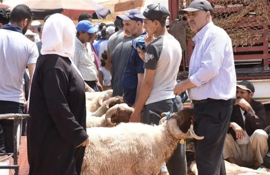 عيد الاضحى .. وزارة الفلاحة تؤكد أن العرض كاف والحالة الصحية للقطيع جيدة