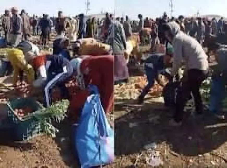 تدافع ومشاحنات في إحدى الاسواق الاسبوعية بضواحي القنيطرة والسلطات توضح
