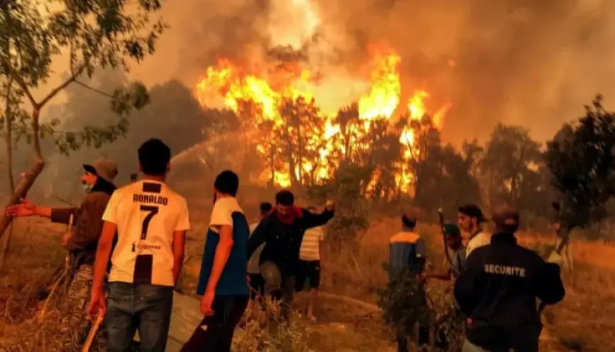 المغرب يتابع ببالغ الأسى والأسف حرائق الغابات بالجزائر (بلاغ)