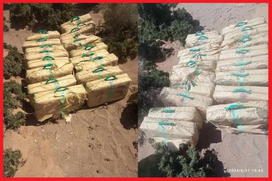 إحباط تهريب 460 كيلوغرام من المخدرات بكلميم