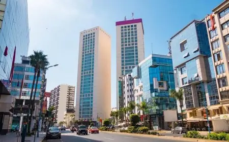 الدارالبيضاء .. عملية تأهيل شاملة لشارع الزرقطوني