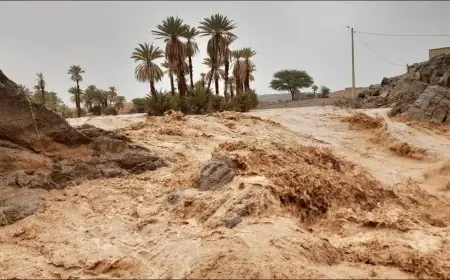 حصيلة أولية.. 4 قتلى و 14 مفقودا في فيضانات إقليم طاطا