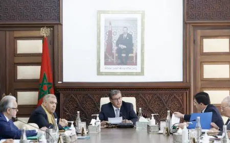 الحكومة تصادق على تعيينات جديدة في مناصب المسؤولية